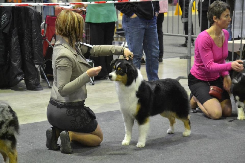 E-mail for you Of crystal lake